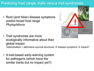 Predicting host range: traits versus trait syndromes
• Root (and foliar) disease symptoms
predict broad host range
Phytophthora
• Trait syndromes are more
ecologically informative about their
global impact
• A trait-based early-warning system
for pathogens (which have the
similar trarits but no impact yet?)
!
heterothallism + alternative survival structures  disease symptoms  impact?
 