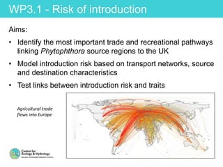 WP3.1 - Risk of introduction
Aims:
• Identify the most important trade and recreational pathways
linking Phytophthora source regions to the UK
• Model introduction risk based on transport networks, source
and destination characteristics
• Test links between introduction risk and traits
Agricultural trade
flows into Europe
 