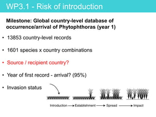 Milestone: Global country-level database of
occurrence/arrival of Phytophthoras (year 1)
• 13853 country-level records
• 1601 species x country combinations
• Source / recipient country?
• Year of first record - arrival? (95%)
• Invasion status
WP3.1 - Risk of introduction
 