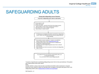 Louise butler Safeguarding adults | PPTX