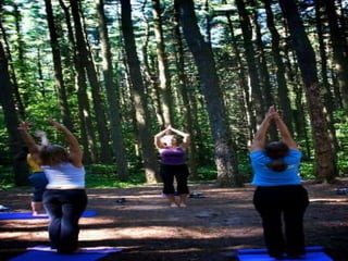 Louise d - trial presentation