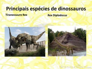 Principais espécies de dinossauros
Tiranossauro Rex   Rex Diplodocus
 