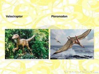 Velociraptor   Pteranodon
 
