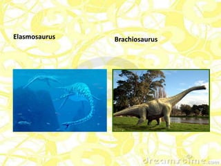 Elasmosaurus   Brachiosaurus
 