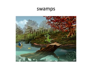 swamps