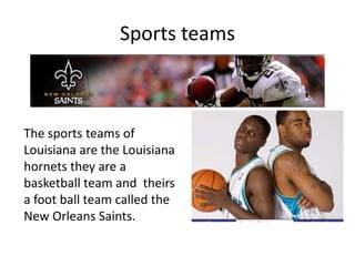 Sports teamsThe sports teams of Louisiana are the Louisiana hornets they are a basketball team and  theirs a foot ball team called the New Orleans Saints.