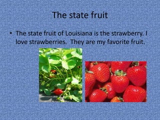 The state fruitThe state fruit of Louisiana is the strawberry. I love strawberries.  They are my favorite fruit.
