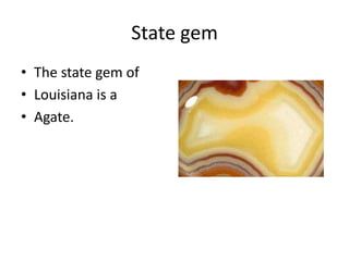 State gemThe state gem of Louisiana is a Agate.