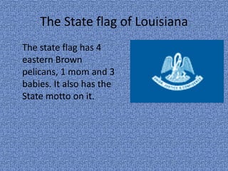 The State flag of Louisiana	The state flag has 4 eastern Brown pelicans, 1 mom and 3 babies. It also has the State motto on it.