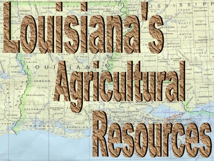 Louisiana S Agricultural Resources