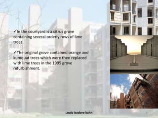 Louis isadore kahn 31
In the courtyard is a citrus grove
containing several orderly rows of lime
trees.
The original grove contained orange and
kumquat trees which were then replaced
with lime trees in the 1995 grove
refurbishment.
 