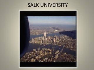 SALK UNIVERSITY
 