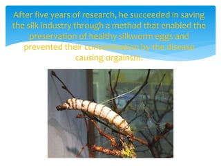 After five years of research, he succeeded in saving
the silk industry through a method that enabled the
preservation of healthy silkworm eggs and
prevented their contamination by the disease
causing orgainsm.
 