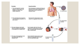 Louis pasteur and robert koch 