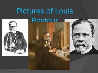 Pictures of Louis
     Pasteur
 