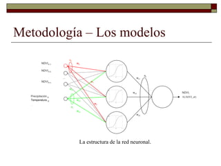 Louis R   Parasid Colombia Ideam Oct 2009