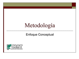 Louis R   Parasid Colombia Ideam Oct 2009