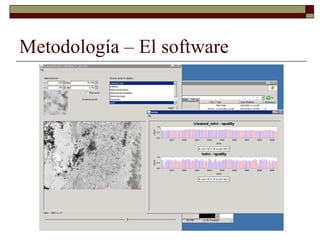 Louis R   Parasid Colombia Ideam Oct 2009