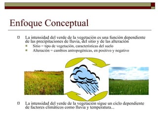 Louis R   Parasid Colombia Ideam Oct 2009