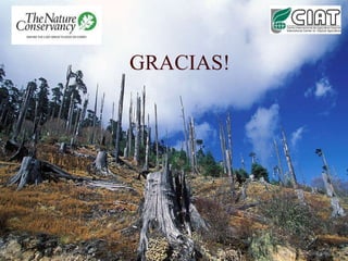 Louis R   Parasid Colombia Ideam Oct 2009