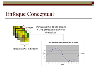 Louis R   Parasid Colombia Ideam Oct 2009