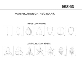 design
MANIPULATION OFTHE ORGANIC
SIMPLE LEAF- FORMS
COMPOUND LEAF- FORMS
 
