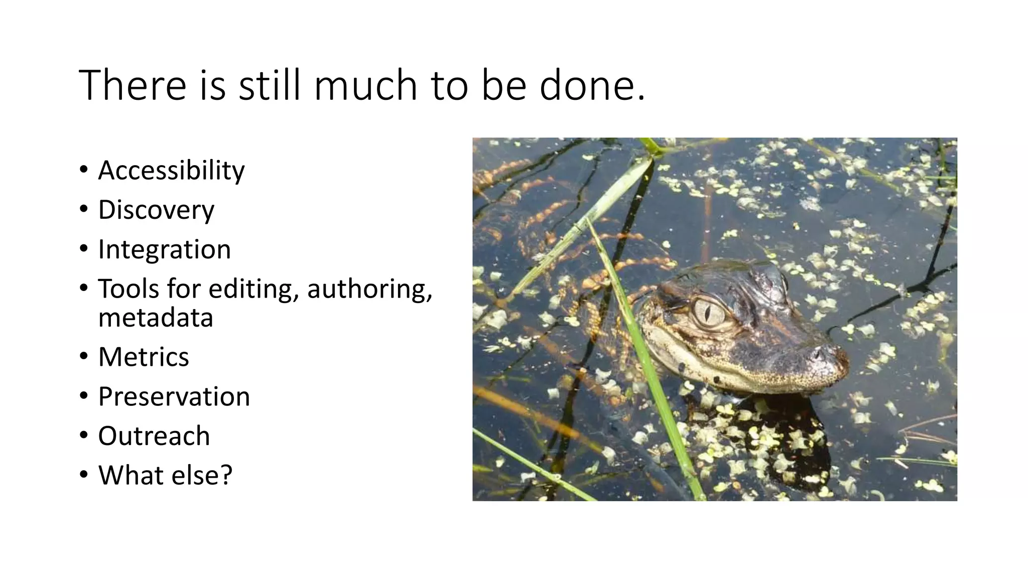 There is still much to be done.
• Accessibility
• Discovery
• Integration
• Tools for editing, authoring,
metadata
• Metrics
• Preservation
• Outreach
• What else?
 