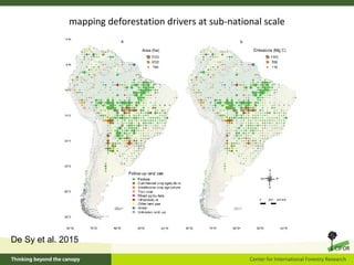 mapping deforestation drivers at sub-national scale
De Sy et al. 2015
 