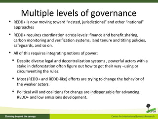 CIFOR's REDD+ research