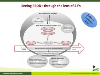 CIFOR's REDD+ research