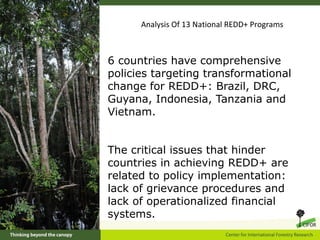 CIFOR's REDD+ research