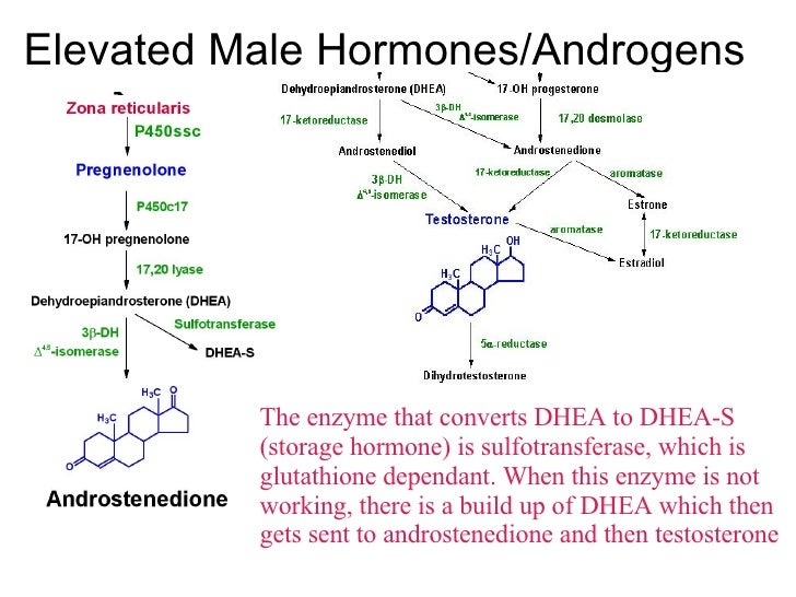 200803 Louisville Autism Lecture