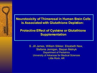 Neurotoxicity of Thimerosal in Human Brain Cells is Associated with Glutathione Depletion:  Protective Effect of Cysteine ...