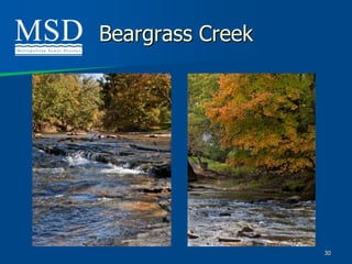 Beargrass Creek




                  30
 