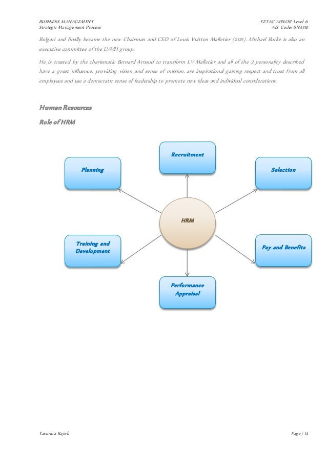 Louis vuitton - strategic process management