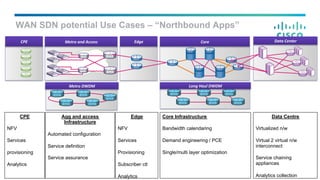 Software Innovations and Control Plane Evolution in the new SDN Transport Architectures