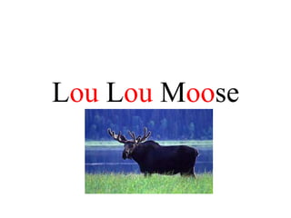 Lou Lou Moose
 
