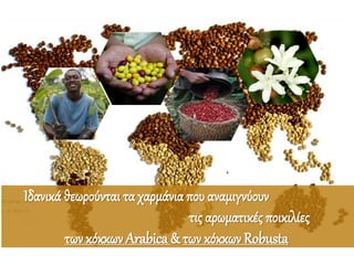 Ιδανικά θεωρούνται τα χαρμάνια που αναμιγνύουν
τις αρωματικές ποικιλίες
των κόκκων Arabica & των κόκκων Robusta
 