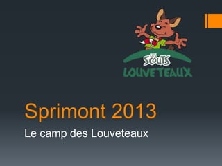 Sprimont 2013
Le camp des Louveteaux
 