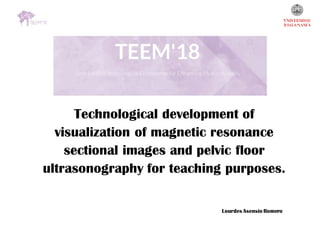 Technological development of
visualization of magnetic resonance
sectional images and pelvic floor
ultrasonography for teaching purposes.
Lourdes Asensio Romero
 