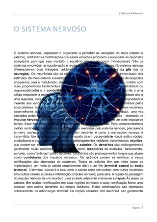 o Sistema Nervoso
Página 1
O SISTEMA NERVOSO
O sistema nervoso, capacitam o organismo a perceber as variações do meio (interno e
externo), a difundir as modificações que essas variações produzem e a executar as respostas
adequadas para que seja mantido o equilíbrio interno do corpo (homeostase). São os
sistemas envolvidos na coordenação e regulação das funções corporais. No sistema nervoso
diferenciam-se duas linhagens celulares: os neurônios e as células da glia (ou da
neuroglia). Os neurônios são as células responsáveis pela recepção e transmissão dos
estímulos do meio (interno e externo), possibilitando ao organismo a execução de respostas
adequadas para a manutenção da homeostase. Para exercerem tais funções, contam com
duas propriedades fundamentais: a irritabilidade (também denominada excitabilidade ou
responsabilidade) e a condutibilidade. Irritabilidade é a capacidade que permite a uma
célula responder a estímulos, sejam eles internos ou externos. Portanto, irritabilidade não é
uma resposta, mas a propriedade que torna a célula apta a responder. Essa propriedade é
inerente aos vários tipos celulares do organismo. No entanto, as respostas emitidas pelos
tipos celulares distintos também diferem umas das outras. A resposta emitida pelos neurônios
assemelha-se a uma corrente elétrica transmitida ao longo de um fio condutor: uma vez
excitados pelos estímulos, os neurônios transmitem essa onda de excitação - chamada de
impulso nervoso - por toda a sua extensão em grande velocidade e em um curto espaço de
tempo. Esse fenômeno deve-se à propriedade de condutibilidade. Para compreendermos
melhor as funções de coordenação e regulação exercidas pelo sistema nervoso, precisamos
primeiro conhecer a estrutura básica de um neurônio e como a mensagem nervosa é
transmitida. Um neurônio é uma célula composta de um corpo celular (onde está o núcleo,
o citoplasma e o citoesqueleto), e de finos prolongamentos celulares denominados neuritos,
que podem ser subdivididos em dendritos e axônios. Os dendritos são prolongamentos
geralmente muito ramificados e que atuam como receptores de estímulos, funcionando,
portanto, como "antenas" para o neurônio. Os axônios são prolongamentos longos que atuam
como condutores dos impulsos nervosos. Os axônios podem se ramificar e essas
ramificações são chamadas de colaterais. Todos os axônios têm um início (cone de
implantação), um meio (o axônio propriamente dito) e um fim (terminal axonal ou botão
terminal). O terminal axonal é o local onde o axônio entra em contato com outros neurônios
e/ou outras células e passa a informação (impulso nervoso) para eles. A região de passagem
do impulso nervoso de um neurônio para a célula adjacente chama-se sinapse. Às vezes os
axônios têm muitas ramificações em suas regiões terminais e cada ramificação forma uma
sinapse com outros dendritos ou corpos celulares. Estas ramificações são chamadas
coletivamente de arborização terminal. Os corpos celulares dos neurônios são geralmente
 