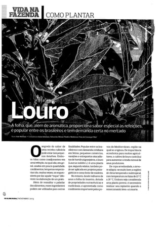 Revista Globo Rural - Como Plantar Louro