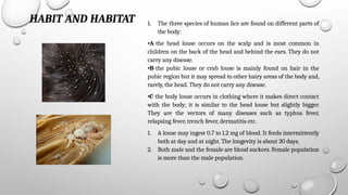 Comprehensive Overview of Biology, Importance, and Control of Lice | PPTX