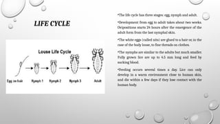 Comprehensive Overview of Biology, Importance, and Control of Lice | PPTX