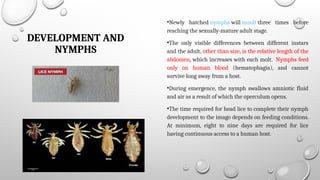 Comprehensive Overview of Biology, Importance, and Control of Lice | PPTX