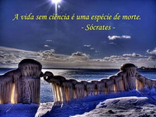 Burlington, Ontario (Canada)_John Gillett A vida sem ciência é uma espécie de morte. - Sócrates - 