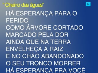 “Cheiro daságuas”
HÁ ESPERANÇA PARA O
FERIDO
COMO ÁRVORE CORTADO
MARCADO PELA DOR
AINDA QUE NA TERRA
ENVELHEÇA A RAIZ
E NO CHÃO ABANDONADO
O SEU TRONCO MORRER
HÁ ESPERANÇA PRA VOCÊ
 