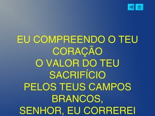 EU COMPREENDO O TEU
CORAÇÃO
O VALOR DO TEU
SACRIFÍCIO
PELOS TEUS CAMPOS
BRANCOS,
SENHOR, EU CORREREI
 