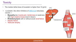 LOVASTATIN
• Myopathy (as muscle pain, tenderness or weakness
with high creatine kinase level in blood.)
• Rhabdomyolysis with or without acute renal failure
• Hepatic failure
• Testicular atrophy
• The median lethal dose of lovastatin is higher than 15 g/m2.
Toxicity
• Lovastatin, like other inhibitors of HMG-CoA reductase,
causes :--
 