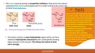 LOVASTATIN
• The statins work by acting as competitive inhibitors. They mimic the natural
substrate(HMG-SCoA) and compete with it in order to bind to the active site
of HMG-SCoA Reductase.
• The statins contain an extra hydrophobic region which can form
additional hydrophobic interactions with a hydrophobic binding
region present in the enzyme. This allows the statins to bind
more strongly.
Fig. – Structural Comparison of HMG-SCoA with Statins
HMG- SCoA Statin
There is one other interesting feature
about the statins. They are actually
more similar to the first intermediate
mevaldyl CoA than to the substrate.
Assuming that mevaldyl CoA is less
stable than the substrate, this implies
that the statins bear some
resemblance to the transition state
leading to mevaldyl CoA.
Consequently, they would be
expected to have a stronger binding
interaction than the natural substrate
and are likely to be acting as
transitionstate Analogues.
 